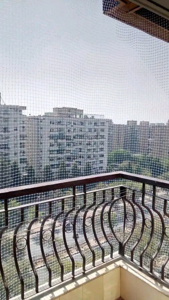 Transparent pigeon safety net installed across an apartment balcony